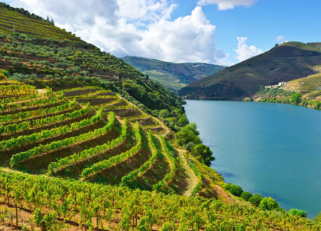 Quinta de la Rosa Wine Dinner